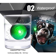 Luz LED de Segurança para Coleiras (Impermeável) - PetDoctors - Loja Online