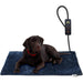 Manta elétrica para cães e gatos, temporizador ajustável, almofada aquecida - PetDoctors - Loja Online