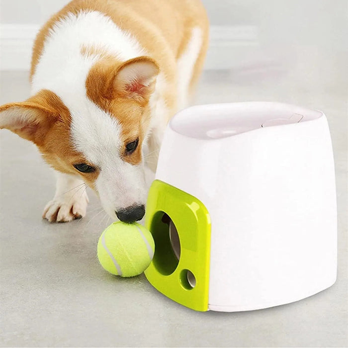 Máquina / Brinquedo Lança Bolas Interativa - PetDoctors - Loja Online