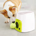 Máquina / Brinquedo Lança Bolas Interativa - PetDoctors - Loja Online