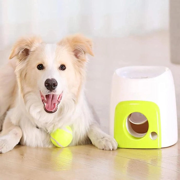 Máquina / Brinquedo Lança Bolas Interativa - PetDoctors - Loja Online