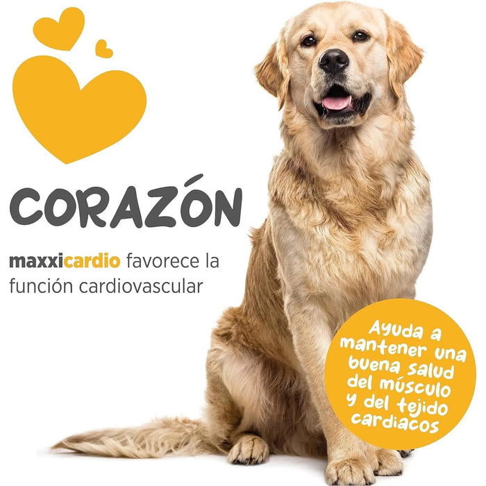maxxicardio Suplemento cardiaco e cardiovascular para cães (em pó: 150 gramas) - PetDoctors - Loja Online