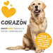 maxxicardio Suplemento cardiaco e cardiovascular para cães (em pó: 150 gramas) - PetDoctors - Loja Online
