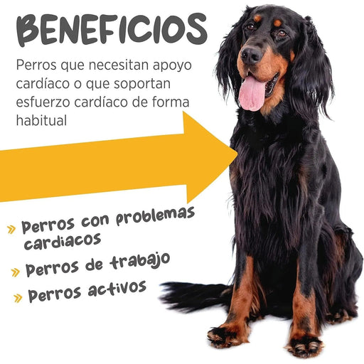 maxxicardio Suplemento cardiaco e cardiovascular para cães (em pó: 150 gramas) - PetDoctors - Loja Online
