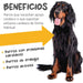 maxxicardio Suplemento cardiaco e cardiovascular para cães (em pó: 150 gramas) - PetDoctors - Loja Online