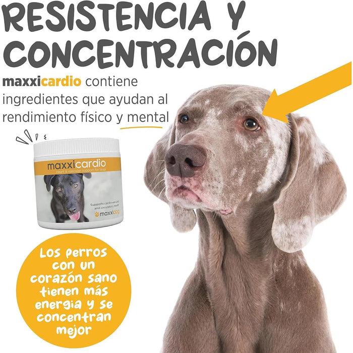 maxxicardio Suplemento cardiaco e cardiovascular para cães (em pó: 150 gramas) - PetDoctors - Loja Online