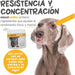 maxxicardio Suplemento cardiaco e cardiovascular para cães (em pó: 150 gramas) - PetDoctors - Loja Online
