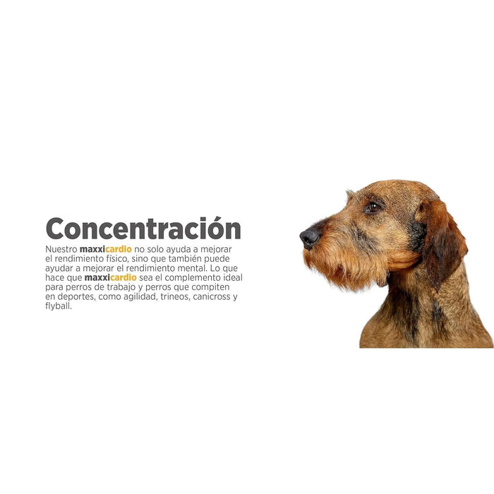 maxxicardio Suplemento cardiaco e cardiovascular para cães (em pó: 150 gramas) - PetDoctors - Loja Online