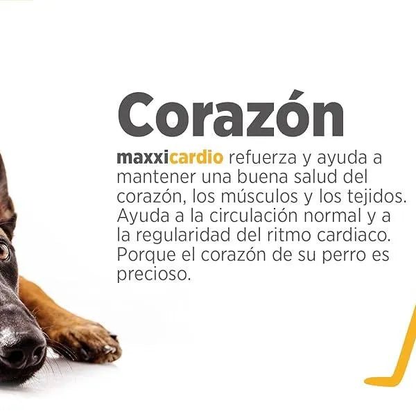 maxxicardio Suplemento cardiaco e cardiovascular para cães (em pó: 150 gramas) - PetDoctors - Loja Online