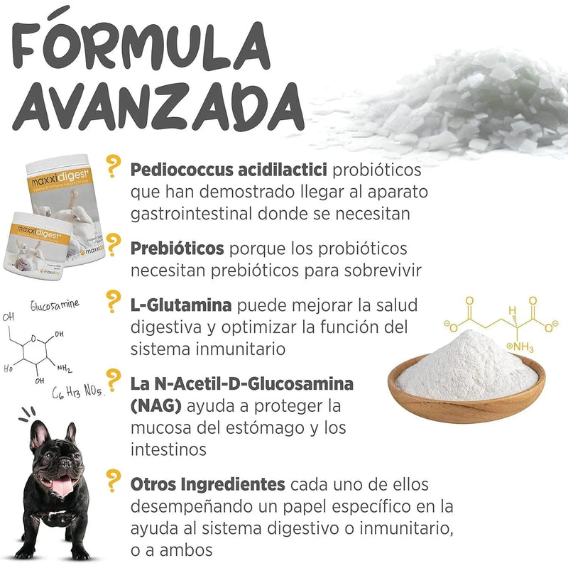 Maxxidigest+ Probiótico Poderoso - Diarreia, Antibacteriano, Alívio de alergias - PetDoctors - Loja Online