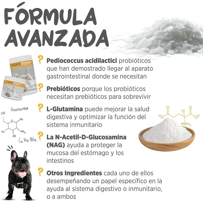 Maxxidigest+ Probiótico Poderoso - Diarreia, Antibacteriano, Alívio de alergias - PetDoctors - Loja Online