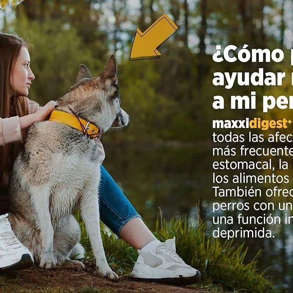 Maxxidigest+ Probiótico Poderoso - Diarreia, Antibacteriano, Alívio de alergias - PetDoctors - Loja Online