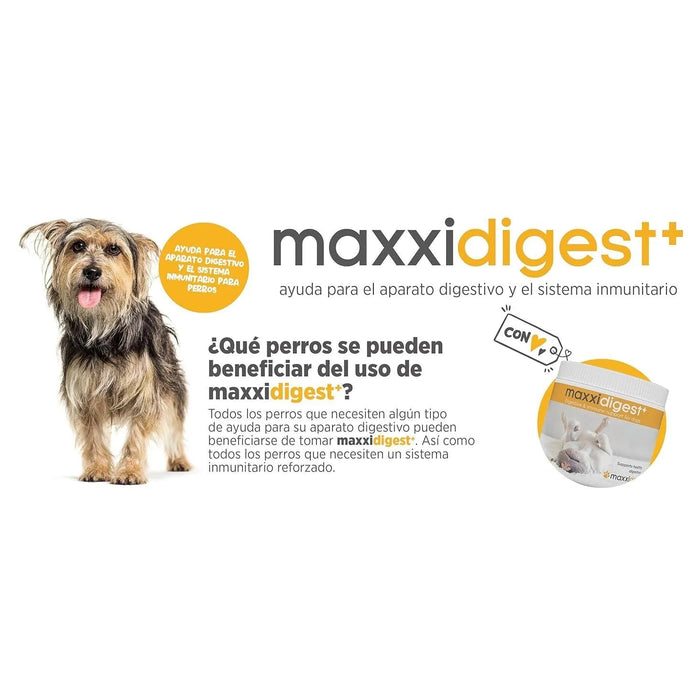 Maxxidigest+ Probiótico Poderoso - Diarreia, Antibacteriano, Alívio de alergias - PetDoctors - Loja Online
