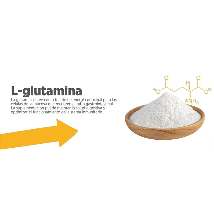 Maxxidigest+ Probiótico Poderoso - Diarreia, Antibacteriano, Alívio de alergias - PetDoctors - Loja Online