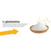 Maxxidigest+ Probiótico Poderoso - Diarreia, Antibacteriano, Alívio de alergias - PetDoctors - Loja Online