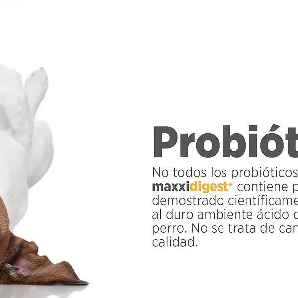 Maxxidigest+ Probiótico Poderoso - Diarreia, Antibacteriano, Alívio de alergias - PetDoctors - Loja Online