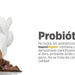 Maxxidigest+ Probiótico Poderoso - Diarreia, Antibacteriano, Alívio de alergias - PetDoctors - Loja Online