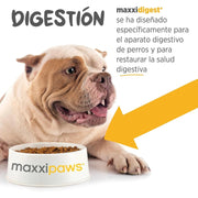 Maxxidigest+ Probiótico Poderoso - Diarreia, Antibacteriano, Alívio de alergias - PetDoctors - Loja Online
