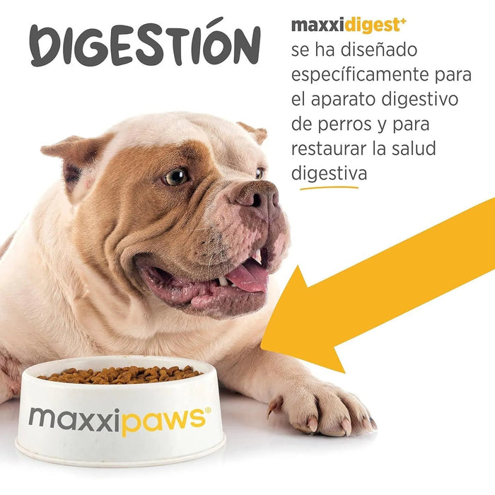 Maxxidigest+ Probiótico Poderoso - Diarreia, Antibacteriano, Alívio de alergias - PetDoctors - Loja Online
