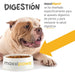 Maxxidigest+ Probiótico Poderoso - Diarreia, Antibacteriano, Alívio de alergias - PetDoctors - Loja Online