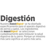Maxxidigest+ Probiótico Poderoso - Diarreia, Antibacteriano, Alívio de alergias - PetDoctors - Loja Online