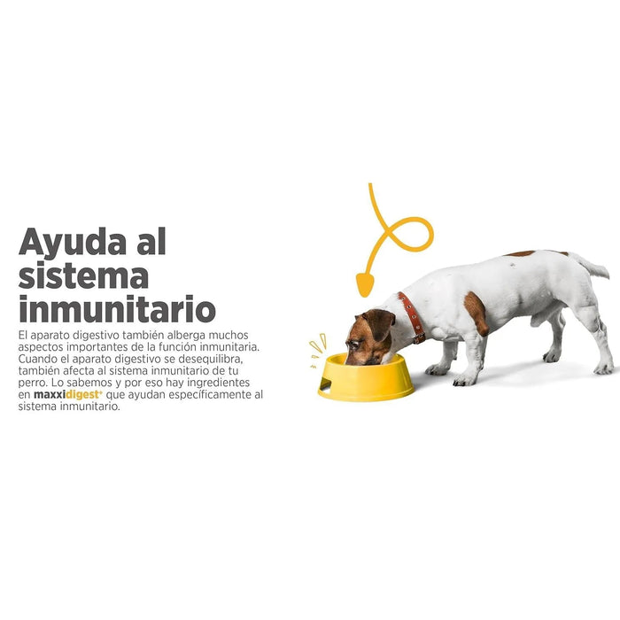 Maxxidigest+ Probiótico Poderoso - Diarreia, Antibacteriano, Alívio de alergias - PetDoctors - Loja Online