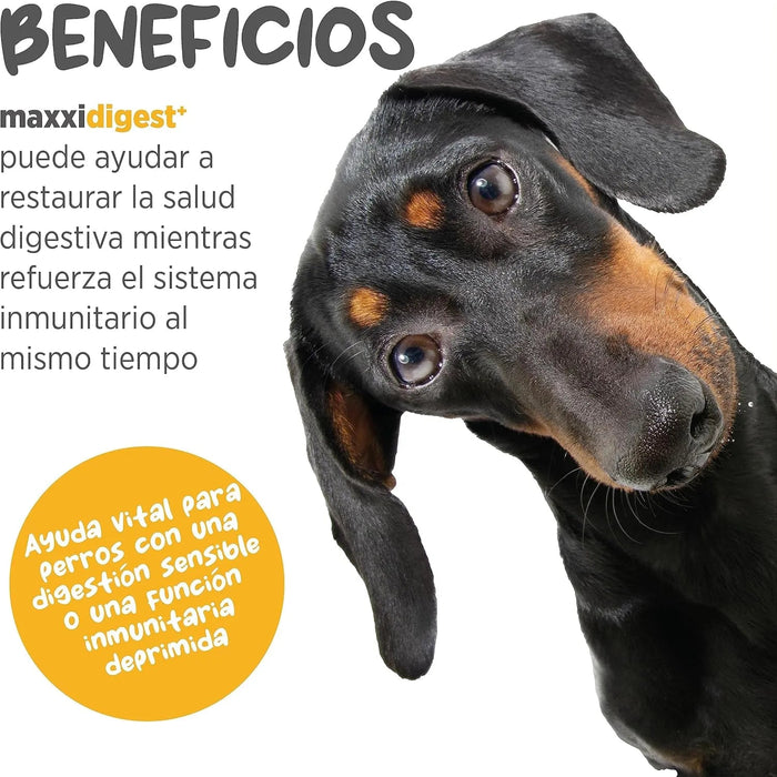 Maxxidigest+ Probiótico Poderoso - Diarreia, Antibacteriano, Alívio de alergias - PetDoctors - Loja Online