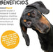 Maxxidigest+ Probiótico Poderoso - Diarreia, Antibacteriano, Alívio de alergias - PetDoctors - Loja Online