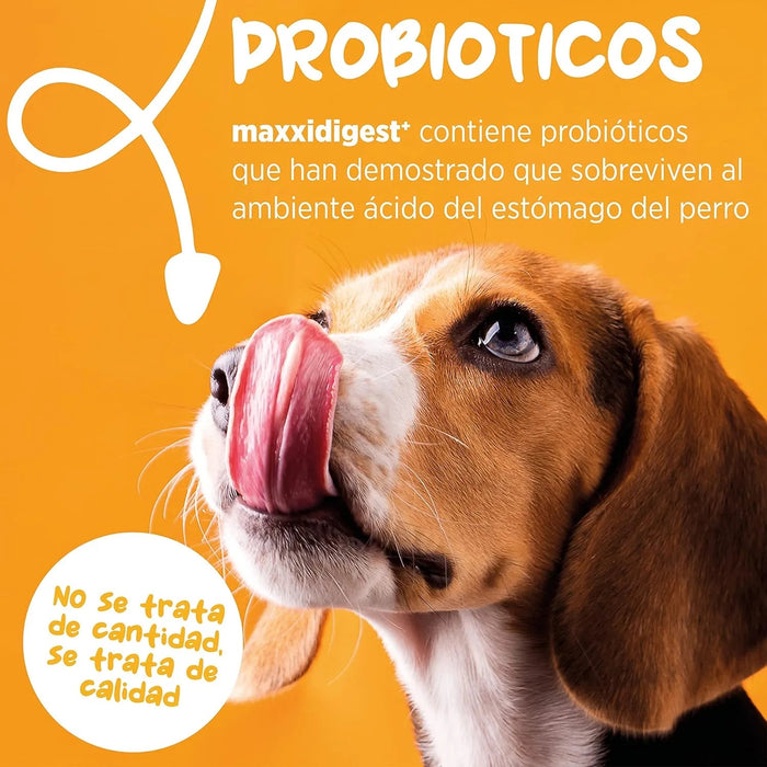 Maxxidigest+ Probiótico Poderoso - Diarreia, Antibacteriano, Alívio de alergias - PetDoctors - Loja Online