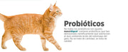 maxxidigest Probióticos, prebióticos e enzimas digestivas para gatos - Ajuda avançada à digestão felina e ao sistema imunitário, sem pó OGM - PetDoctors - Loja Online