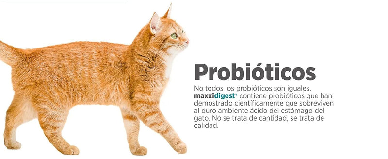maxxidigest Probióticos, prebióticos e enzimas digestivas para gatos - Ajuda avançada à digestão felina e ao sistema imunitário, sem pó OGM - PetDoctors - Loja Online