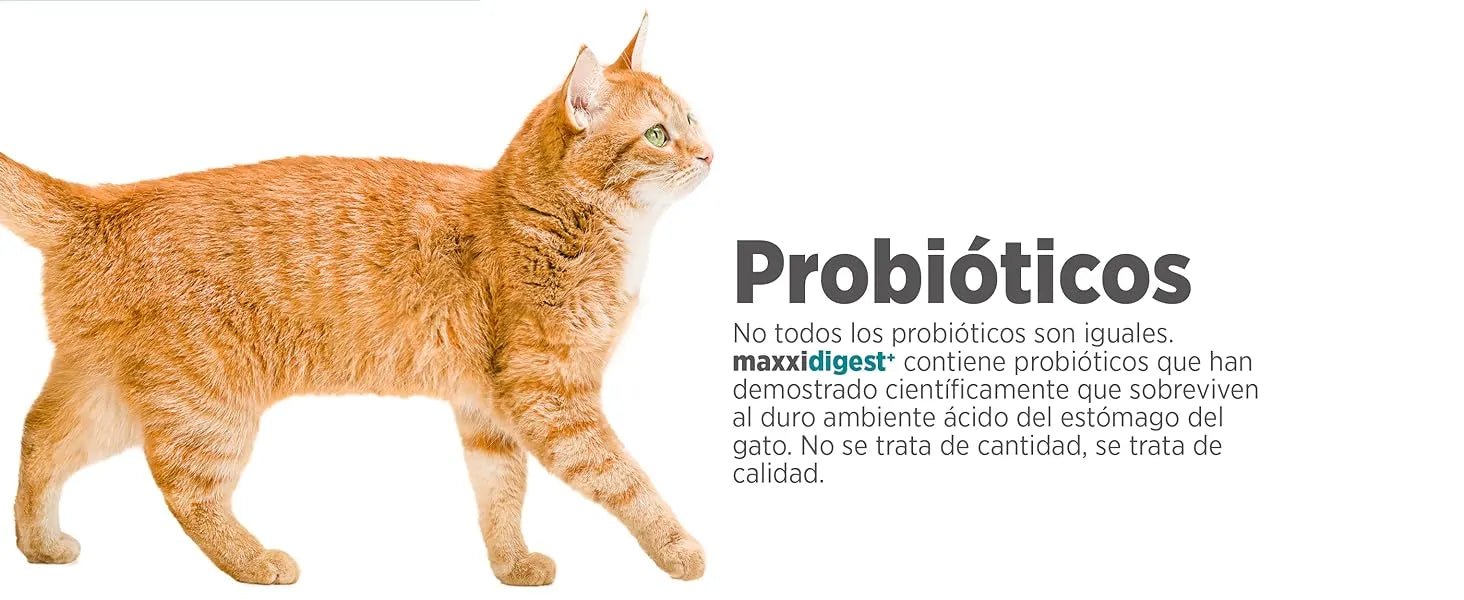 maxxidigest Probióticos, prebióticos e enzimas digestivas para gatos - Ajuda avançada à digestão felina e ao sistema imunitário, sem pó OGM - PetDoctors - Loja Online