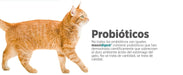 maxxidigest Probióticos, prebióticos e enzimas digestivas para gatos - Ajuda avançada à digestão felina e ao sistema imunitário, sem pó OGM - PetDoctors - Loja Online