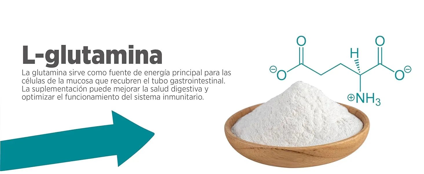 maxxidigest Probióticos, prebióticos e enzimas digestivas para gatos - Ajuda avançada à digestão felina e ao sistema imunitário, sem pó OGM - PetDoctors - Loja Online