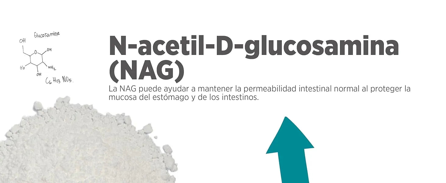 maxxidigest Probióticos, prebióticos e enzimas digestivas para gatos - Ajuda avançada à digestão felina e ao sistema imunitário, sem pó OGM - PetDoctors - Loja Online