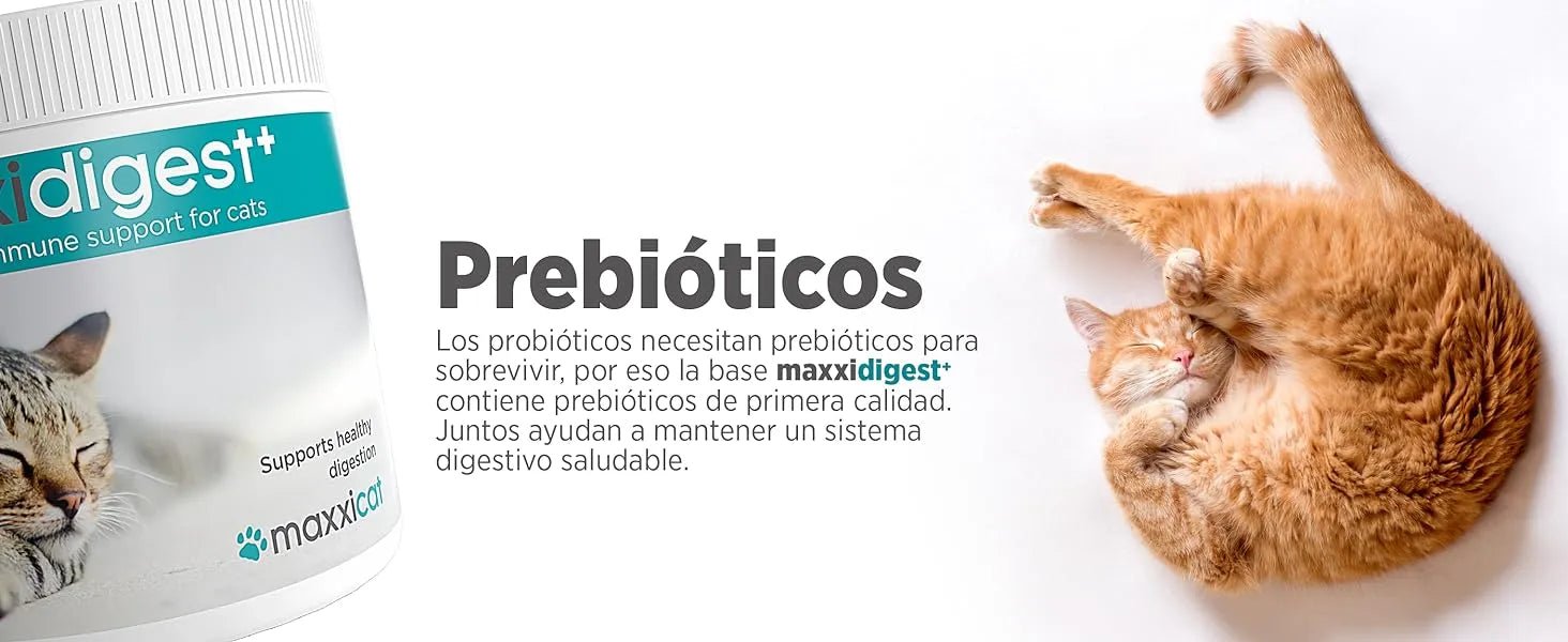 maxxidigest Probióticos, prebióticos e enzimas digestivas para gatos - Ajuda avançada à digestão felina e ao sistema imunitário, sem pó OGM - PetDoctors - Loja Online