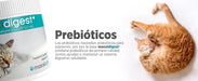 maxxidigest Probióticos, prebióticos e enzimas digestivas para gatos - Ajuda avançada à digestão felina e ao sistema imunitário, sem pó OGM - PetDoctors - Loja Online