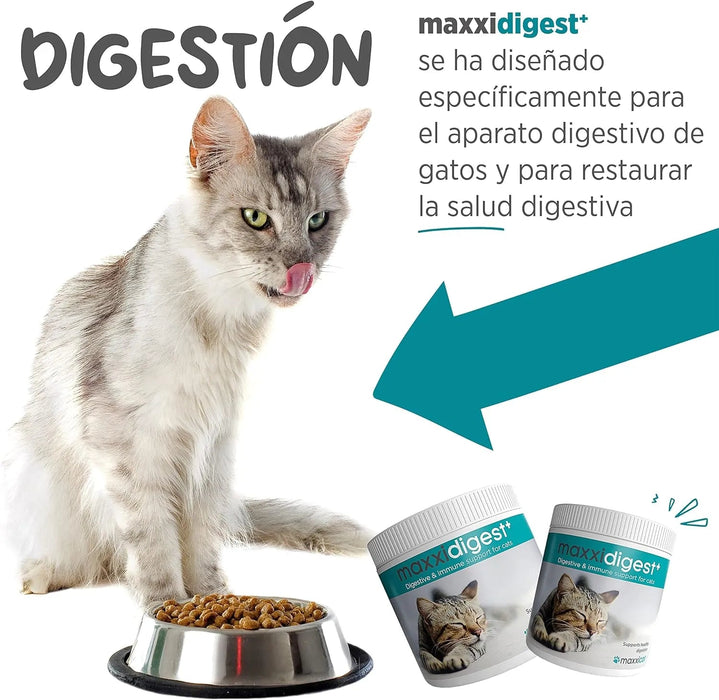 maxxidigest Probióticos, prebióticos e enzimas digestivas para gatos - Ajuda avançada à digestão felina e ao sistema imunitário, sem pó OGM - PetDoctors - Loja Online