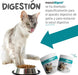 maxxidigest Probióticos, prebióticos e enzimas digestivas para gatos - Ajuda avançada à digestão felina e ao sistema imunitário, sem pó OGM - PetDoctors - Loja Online