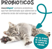 maxxidigest Probióticos, prebióticos e enzimas digestivas para gatos - Ajuda avançada à digestão felina e ao sistema imunitário, sem pó OGM - PetDoctors - Loja Online
