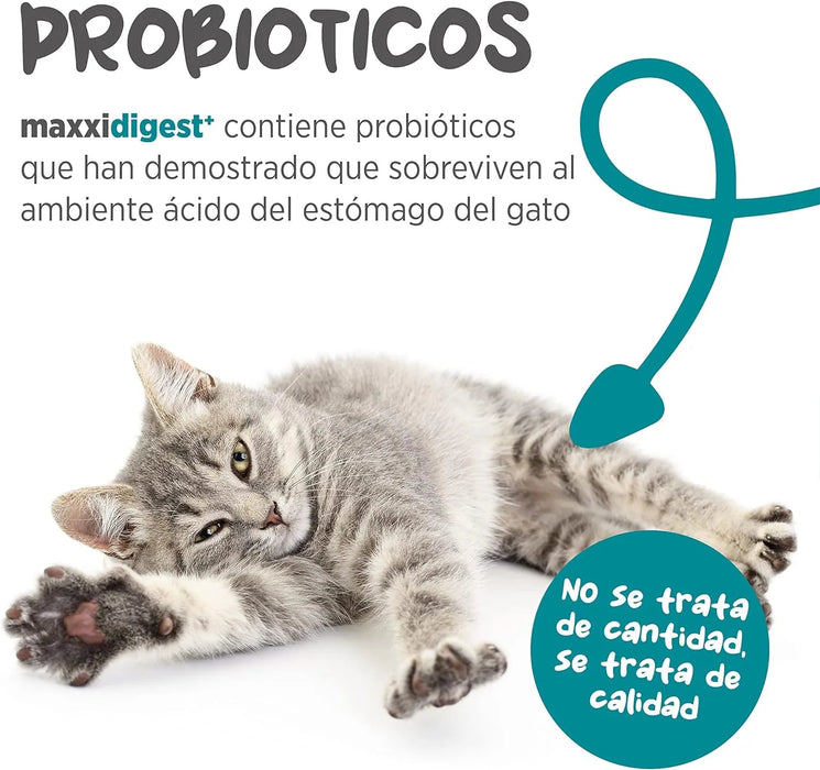 maxxidigest Probióticos, prebióticos e enzimas digestivas para gatos - Ajuda avançada à digestão felina e ao sistema imunitário, sem pó OGM - PetDoctors - Loja Online