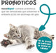 maxxidigest Probióticos, prebióticos e enzimas digestivas para gatos - Ajuda avançada à digestão felina e ao sistema imunitário, sem pó OGM - PetDoctors - Loja Online