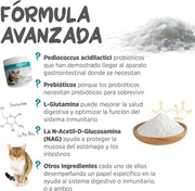 maxxidigest Probióticos, prebióticos e enzimas digestivas para gatos - Ajuda avançada à digestão felina e ao sistema imunitário, sem pó OGM - PetDoctors - Loja Online