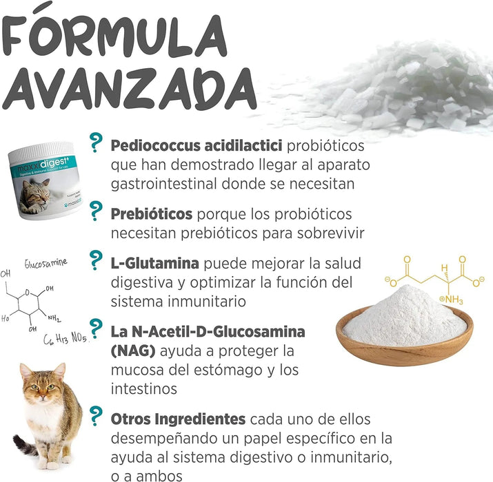 maxxidigest Probióticos, prebióticos e enzimas digestivas para gatos - Ajuda avançada à digestão felina e ao sistema imunitário, sem pó OGM - PetDoctors - Loja Online