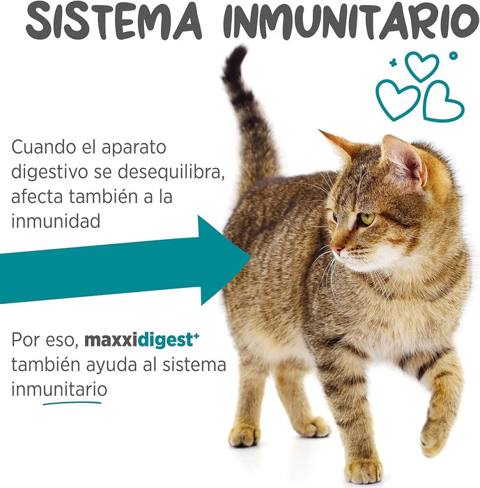 maxxidigest Probióticos, prebióticos e enzimas digestivas para gatos - Ajuda avançada à digestão felina e ao sistema imunitário, sem pó OGM - PetDoctors - Loja Online