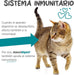 maxxidigest Probióticos, prebióticos e enzimas digestivas para gatos - Ajuda avançada à digestão felina e ao sistema imunitário, sem pó OGM - PetDoctors - Loja Online