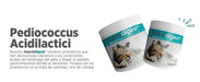 maxxidigest Probióticos, prebióticos e enzimas digestivas para gatos - Ajuda avançada à digestão felina e ao sistema imunitário, sem pó OGM - PetDoctors - Loja Online