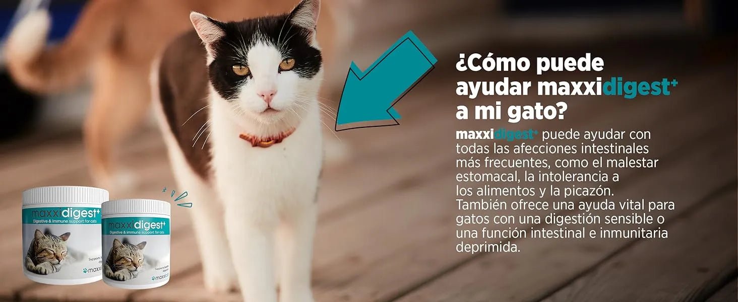 maxxidigest Probióticos, prebióticos e enzimas digestivas para gatos - Ajuda avançada à digestão felina e ao sistema imunitário, sem pó OGM - PetDoctors - Loja Online
