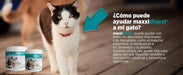 maxxidigest Probióticos, prebióticos e enzimas digestivas para gatos - Ajuda avançada à digestão felina e ao sistema imunitário, sem pó OGM - PetDoctors - Loja Online