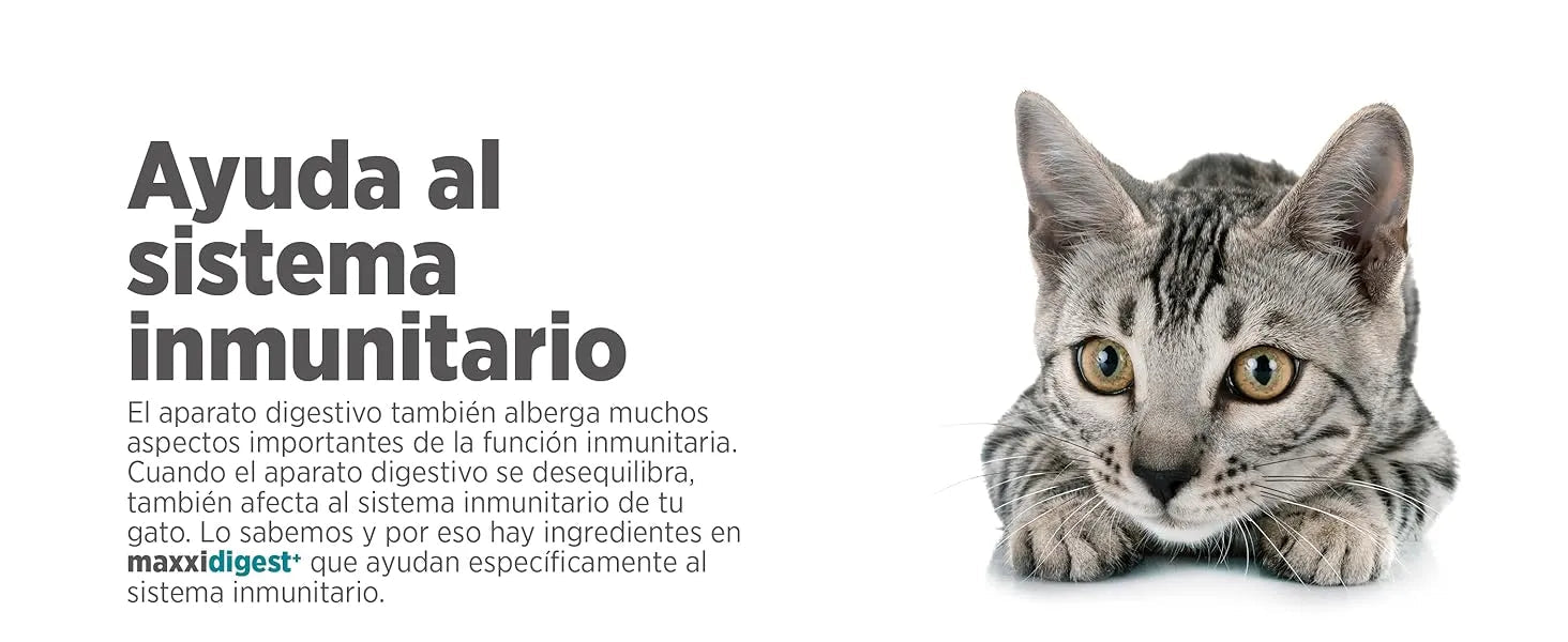 maxxidigest Probióticos, prebióticos e enzimas digestivas para gatos - Ajuda avançada à digestão felina e ao sistema imunitário, sem pó OGM - PetDoctors - Loja Online